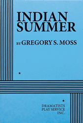 Logo of Indian Summer