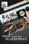 poster for Here There Are Blueberries