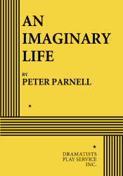 Logo of An Imaginary Life