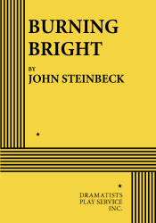 Logo of Burning Bright