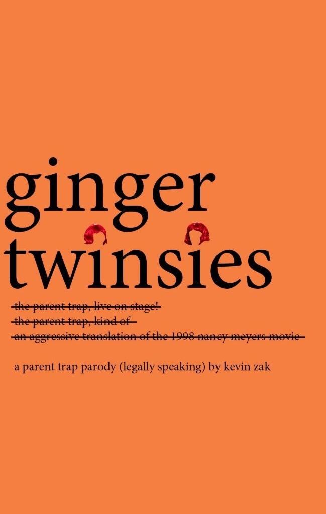 Logo of Ginger Twinsies