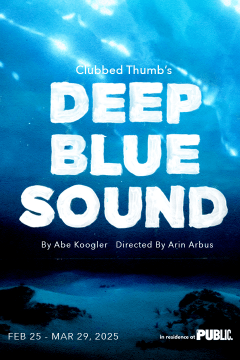 Logo of Deep Blue Sound