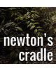 Logo of Newton's Cradle