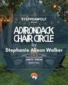 poster for Adirondack Chair Circle