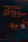 poster for Cat on a Hot Tin Roof
