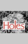 poster for The Holes
