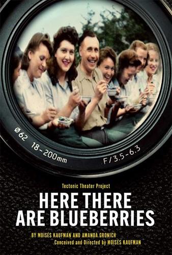 Logo of Here There Are Blueberries